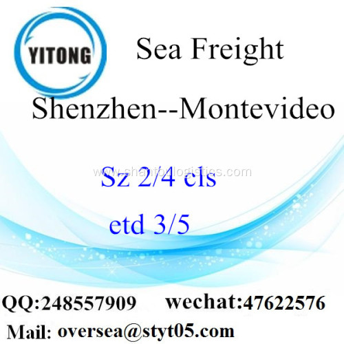 Shenzhen Port LCL Consolidation To Montevideo